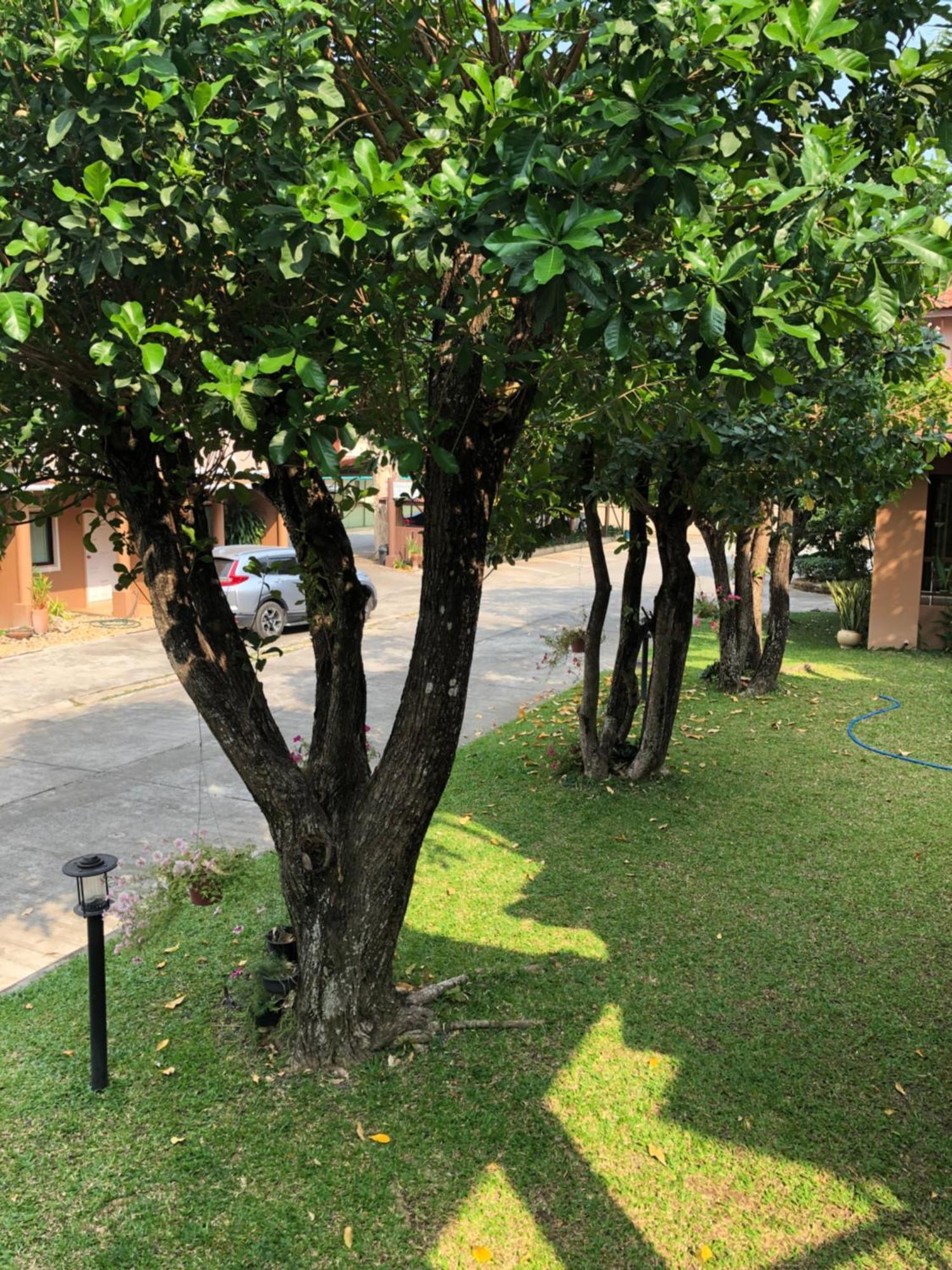Areena Resort And Hotel Uttaradit Exteriör bild